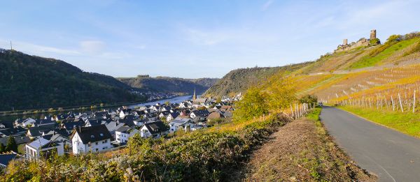 Alken im Herbst
